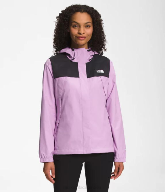 TNF Black/Lupine Women The North Face Antora Jacket 42D01282